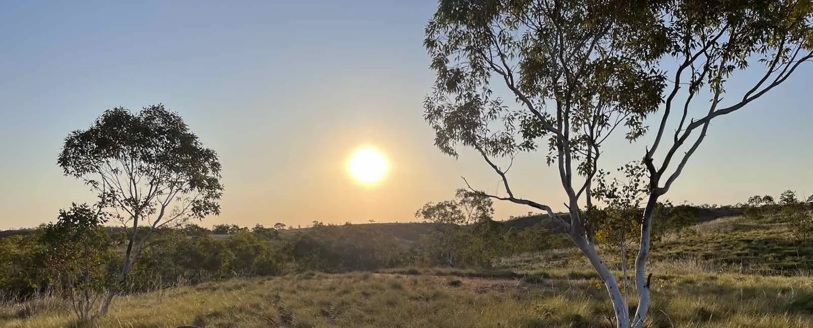 Barkly Region Alcohol and Drug Abuse Advisory Group (BRADAAG), Tennant Creek, NT