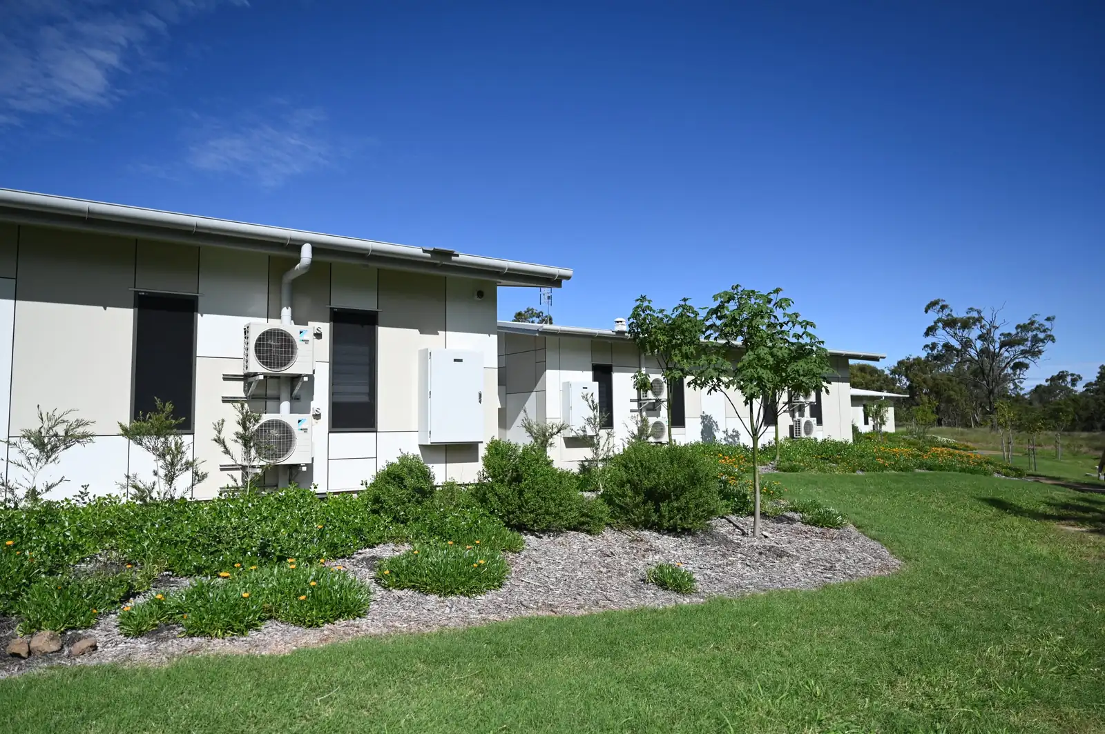 Binbi Yadubay - Healthy Beginnings, Parkhurst, QLD